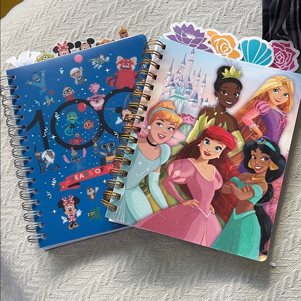 Disney Princess and Celebration Notebooks - Blue and Multicolor